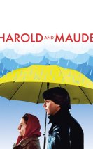 Harold And Maude