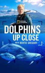 Dolphins Up Close with Bertie Gregory