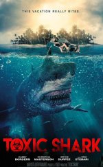 Zehirli Köpekbalığı – Toxic Shark