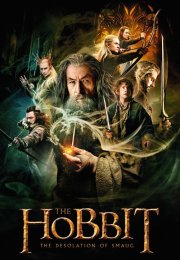 The Hobbit: The Desolation of Smaug